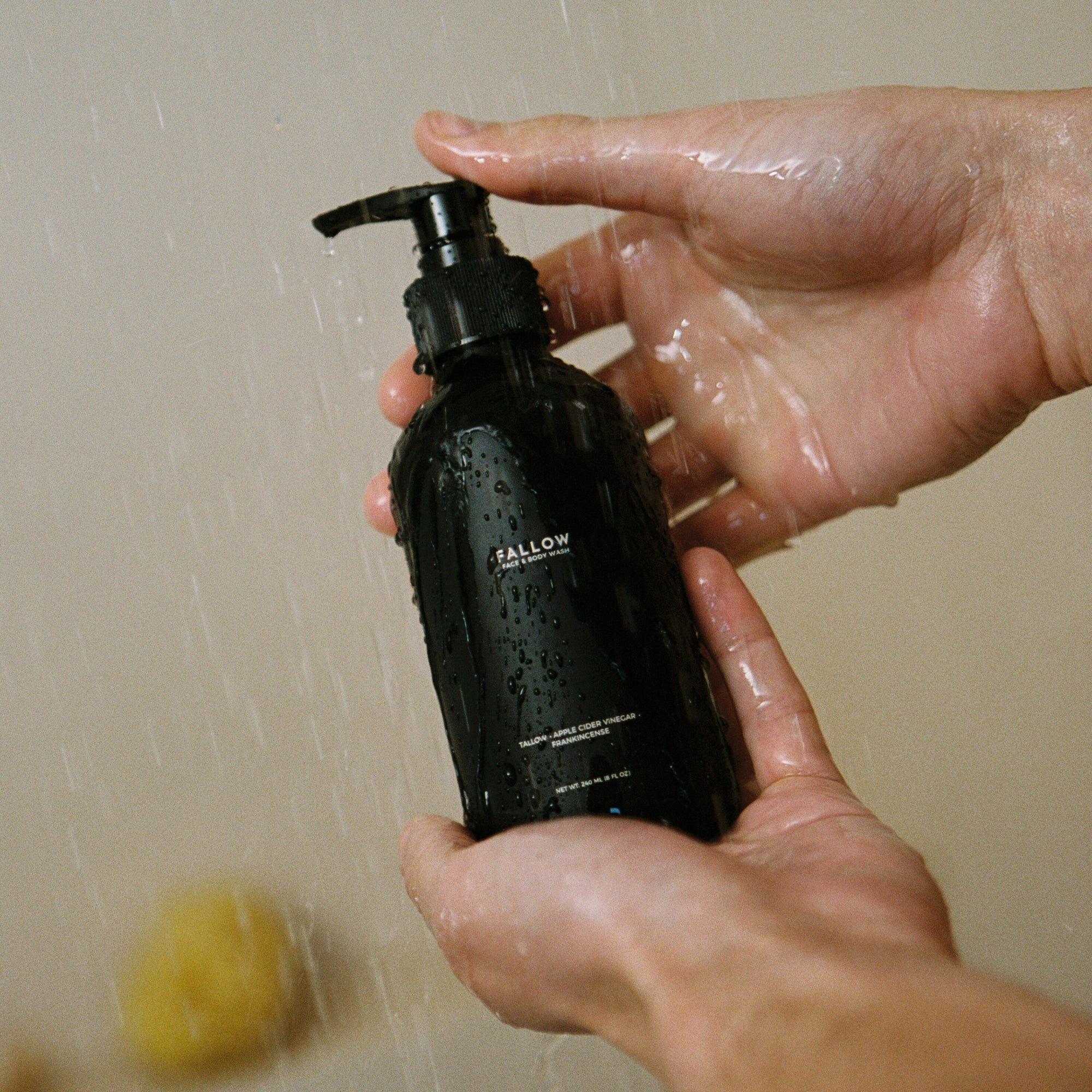 Tallow Face & Body Wash