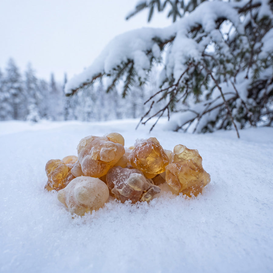 The harshest winters in Europe